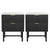 Artiss 2x Bedside Table 2 Drawers - Black
