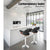 Artiss Wooden Bar Stool - Black