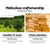 Gardeon 2 Seat Wooden Outdoor Storage Bench - Decorly
