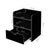 Artiss Bedside Table Drawer - Black - Decorly