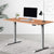 Artiss Standing Desk Height Adjustable Sit Stand Laptop Computer Table Motorised Electric Frame Riser 140cm