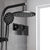 WELS Round 9 inch Rain Shower Head & Taps Set Bathroom Handheld Spray Bracket Rail Mat Black - Decorly