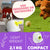 Automatic Ball Launcher Dog Toy Interactive 6Balls